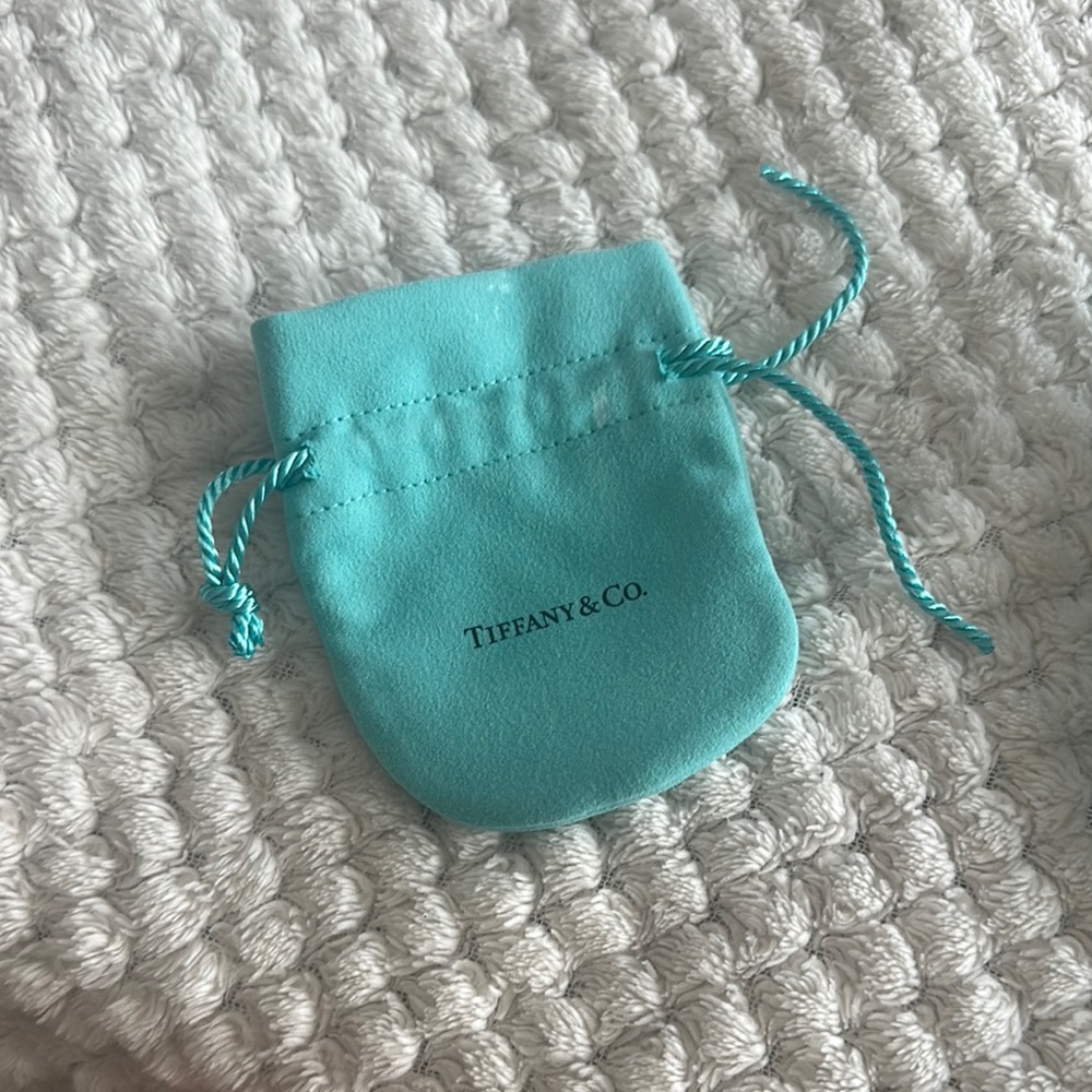Tiffany & Co. Turquoise Drawstring Pouch